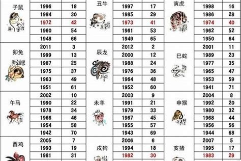 2002五行属什么|2002年五行属什么？2002年出生是什么命？